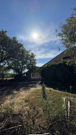 Casă cu 4 camere în Halmeu