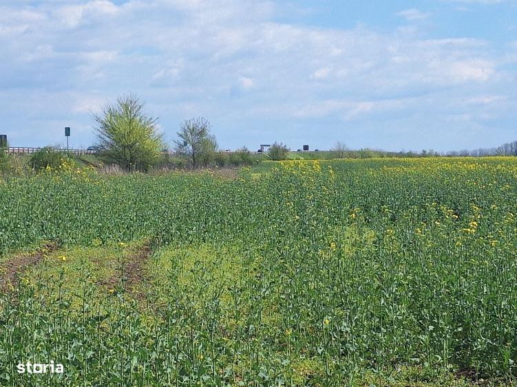 Vand Teren 3,25Ha Ghighiu,Sat Barcanesti,Autostrada A3-Dj101,Prahova - 8