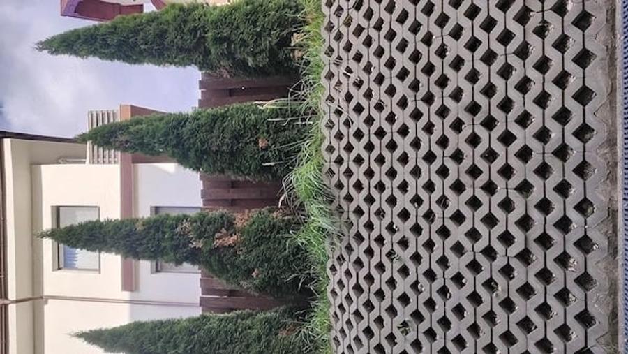 Propietar inchiriez Apart.2 camere intr-o zona bunaI - 4
