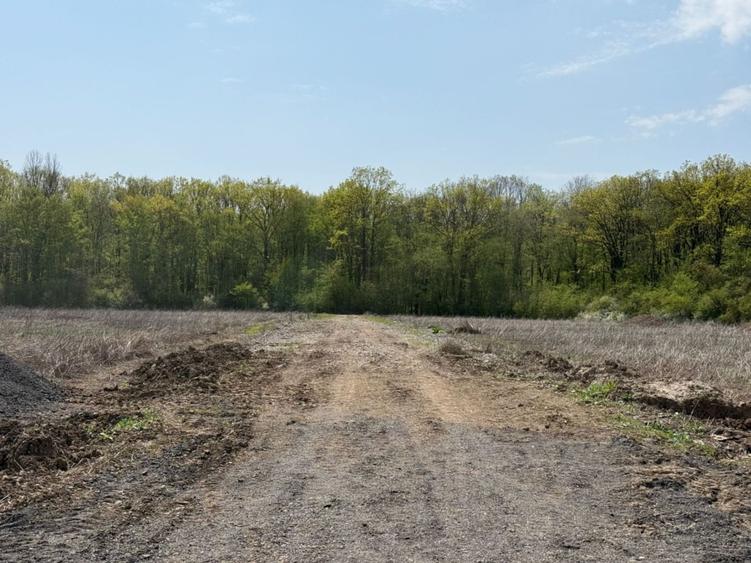 Teren Construcții intravilan de 500 mp, în Tunari