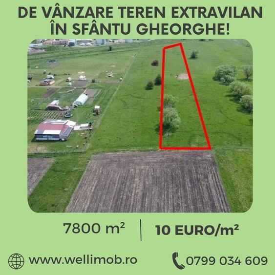Teren extravilan de 7800 mp, în Nord-Est