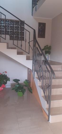 Cartierul Sasar, casa 17 ari teren - 11
