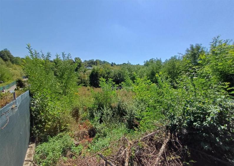 Resita, Teren Intravilan 5615 Mp., 25 Euro/Mp., Calea Carans - 14