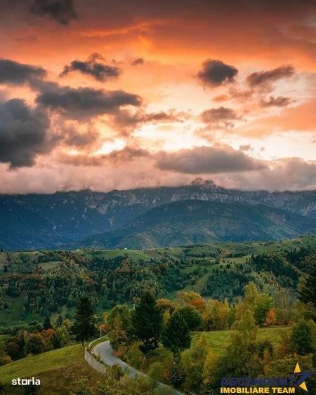 Pensiune resedinta, cu 1.000 mp teren, Pestera, Brasov - 19