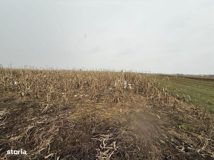 Teren extravilan | Galane?ti | 7.276 mp | Front 29 m - 2