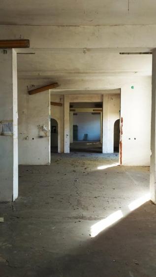 OCAZIE Complex industrial 4 hale productie + depozitare, 17.000 mp, des 180mp - 6