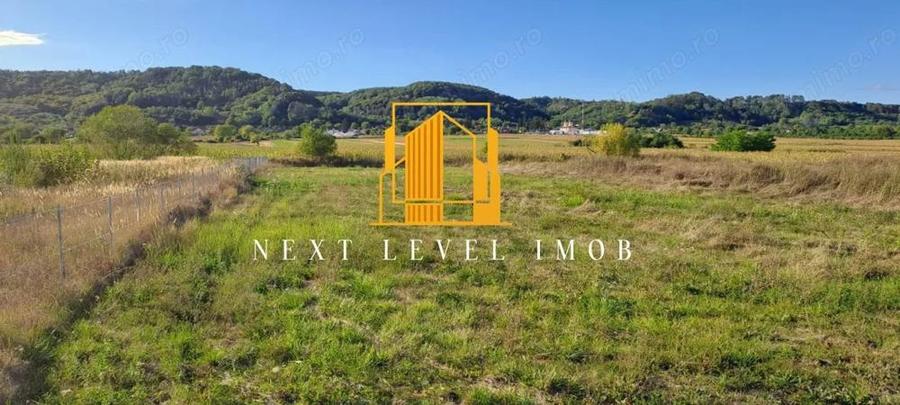 Teren Comuna Micesti, sat Purcareni - 4