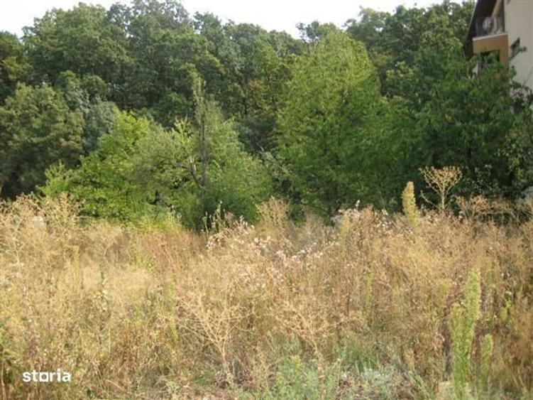 Teren Dragomiresti Vale direct proprietar 4 350 mp - 3