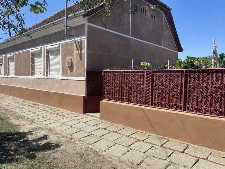 Vand casa in Sanmartinul Sarbesc - 5