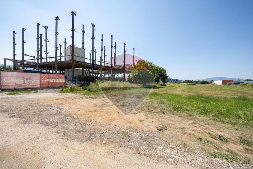 Teren Construcții intravilan de 24800 mp, în Griviței