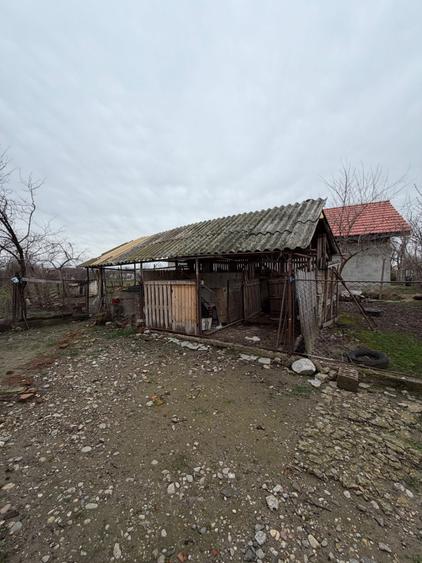 Casa Jebel teren 1696 mp front 57 ml utilitati strada asfaltata - 3