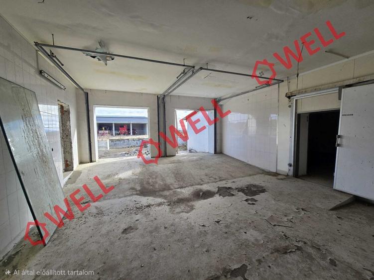 Clădire industrială de vânzare pe DN12! - 4