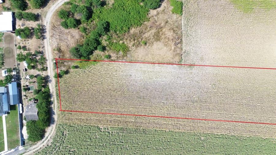 Darza Teren intravilan 1ha langa case deschidere 22 m - 2