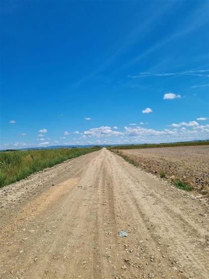 RECO Teren intravilan de vanzare Osorhei - 2