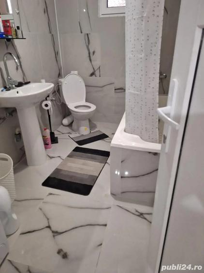 Casa de vanzare in Tormac Jud. Timis - 5