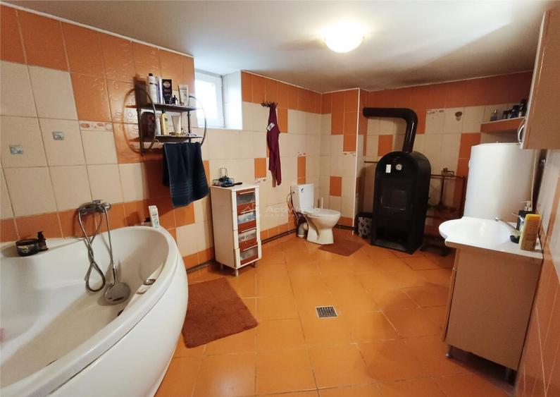 Casa 3 camere teren in Pojejena, jud. Caras Severin - 9