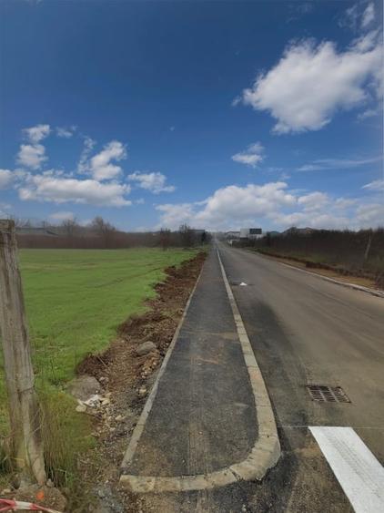 Mogosoaia | Teren intravilan | Suprafata: 932.64 mp cu deschidere de 20.17m - 10