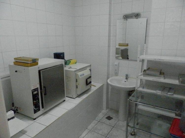 VANZARE VILA 9 CAMERE 320 MP UTILI CURTE INDEPENDENTA . - 5