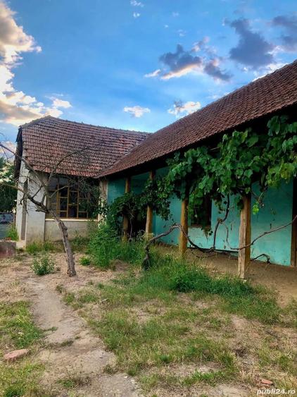 Casa de vinzare in comuna ghilad - 2
