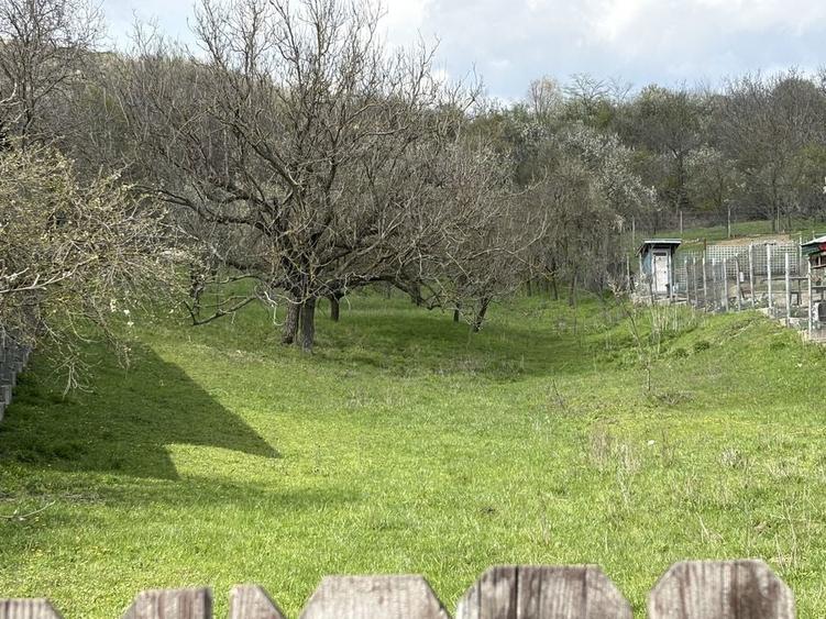 Vand teren Aninoasa Jud Dambovita - 6