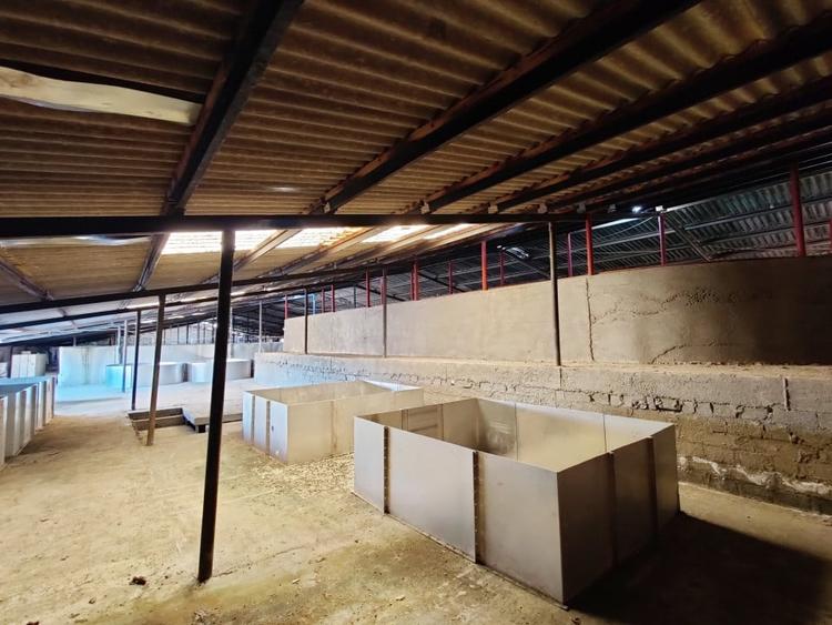 COMISION 0% Oportunitate de afacere/acvacultura in sistem RAS/3150 mp/Cisnadie - 8