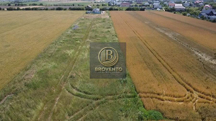 Teren intravilan Corbeanca - Ostratu - 8