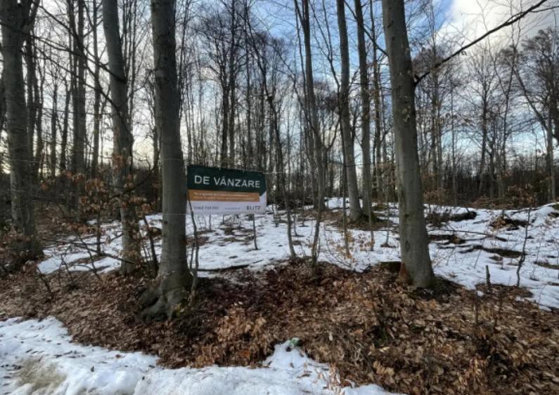 Teren deosebit 30 arii | Zona montana exclusivista | Apro - 4