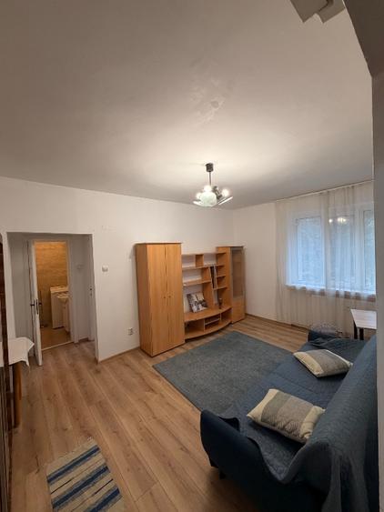 Apartament 2 camere pet friendly  - 3
