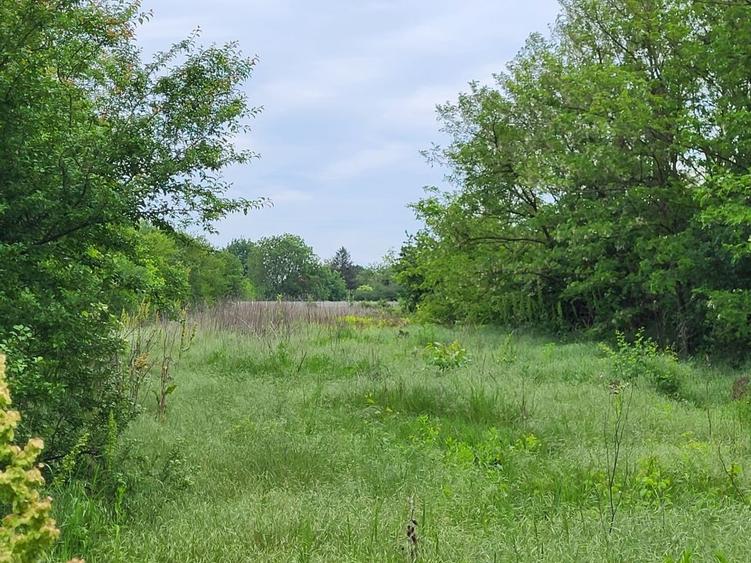 Teren de vânzare – oportunitate cu potențial investițional - 1