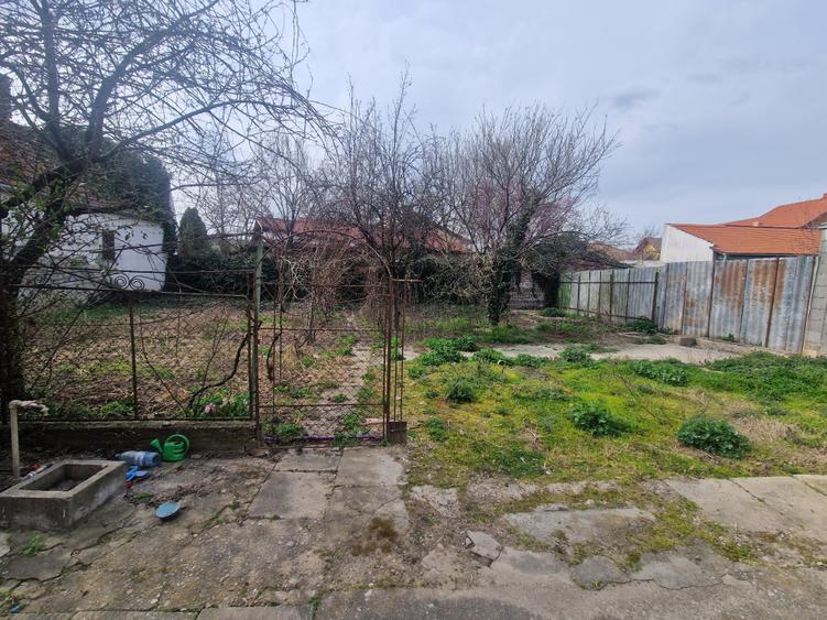 Casa situata in zona Blascovici, pe frumoasa strada Maslinului - 10