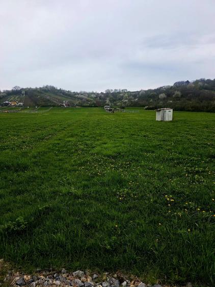 Teren Extravilan de Vanzare in Cristian, Sibiu - 3