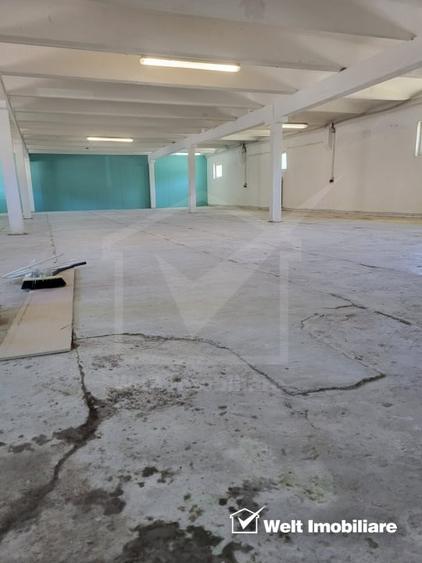 Proprietate multifunctionala spatii de la 40 mp la 1000 mp - 4