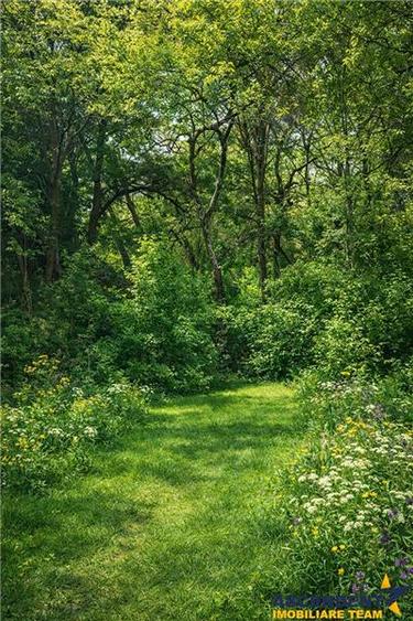 Domeniu verde autentic,  +5.000mp, front la DJ, Valcele, Brasov -- Covasna - 1