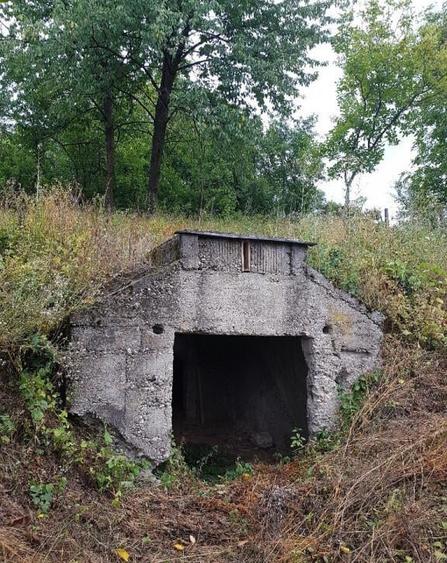 Parava, sat Dragusani, teren 4800mp, la asfalt - 12