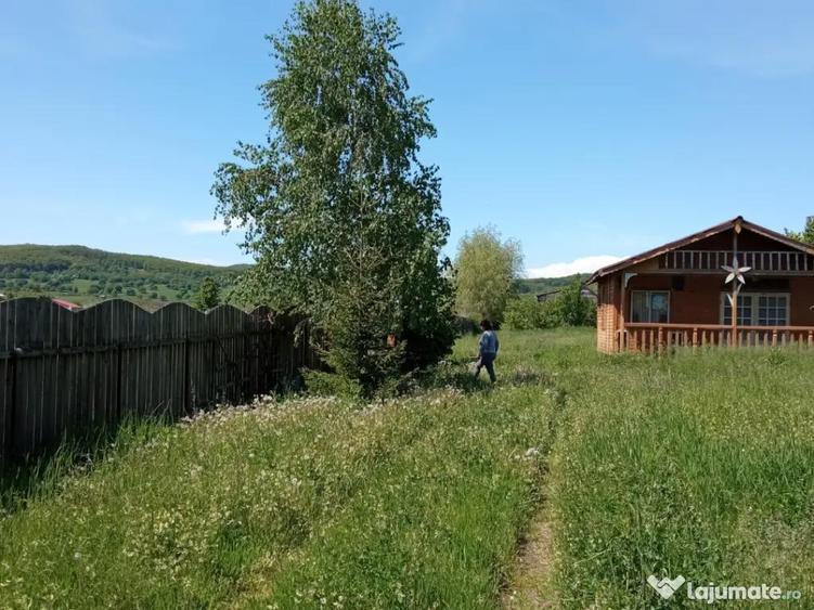 Teren ,Casa de lemn, Spa?iu de produc?ie - 5