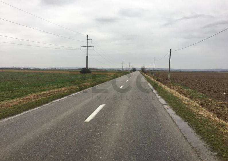 Reco Teren Intravilan in Chiribis - 8