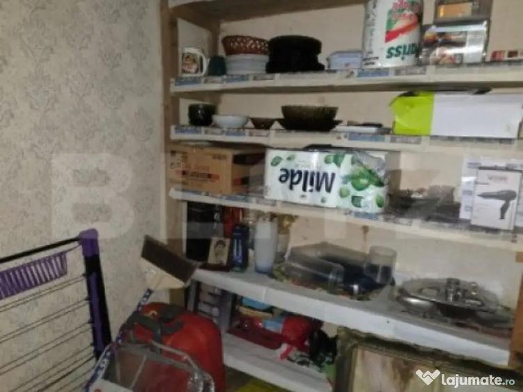 Doua case de vanzare, curte comuna, 4 camer 110mp, 50 ari - 3