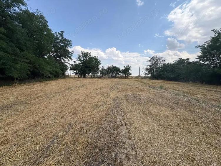 Teren intravilan 2580 mp - Hagiesti - 2