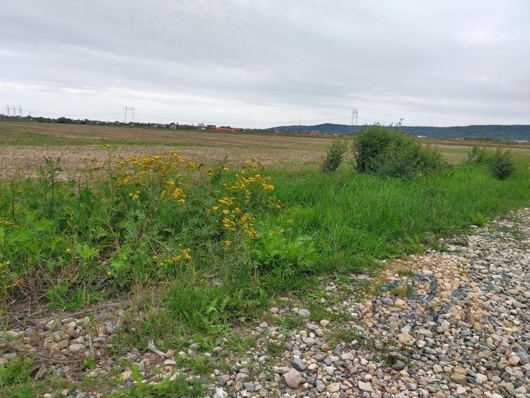 Teren Osorhei, Str. 610 - 3