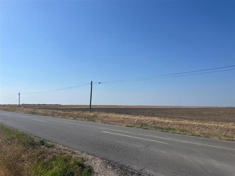 RECO Teren extravilan cu acces  la drumul Oradea-Livada de Bihor - 10