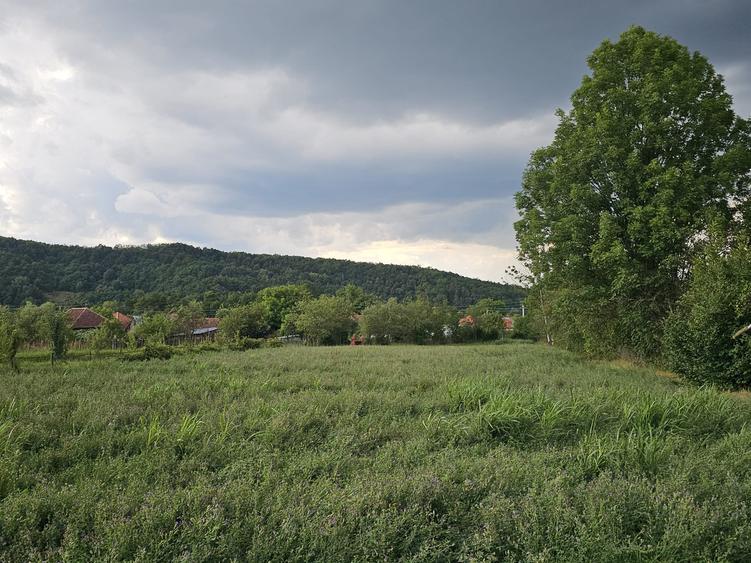 Casa cu teren , localitatea Birtin - 2