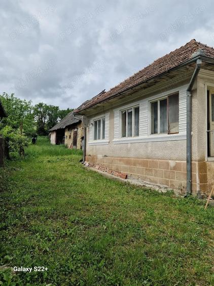 Casa la tara in Beudiu, comuna Nu?eni - 4