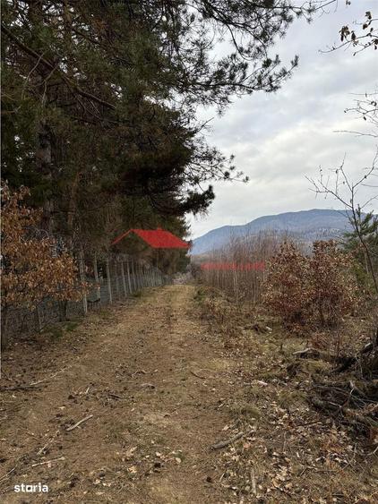 Teren cu 2 izvoare, Prundul Bargaului - 10