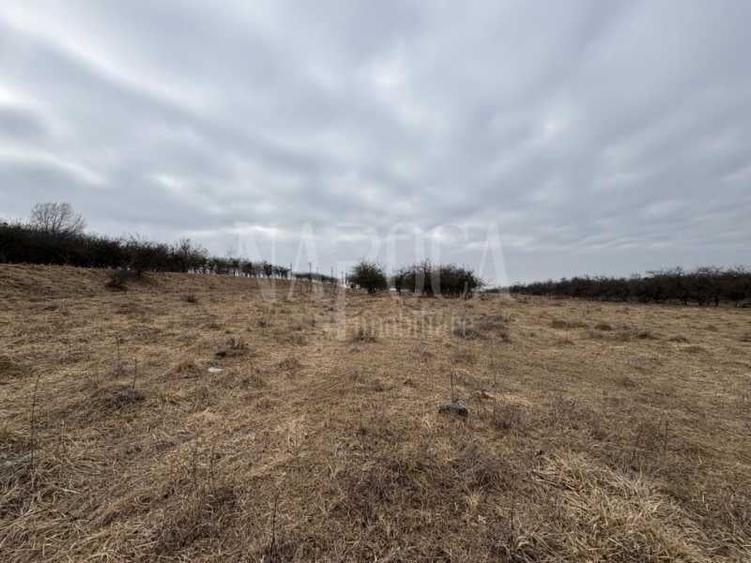 Teren intravilan pentru constructii de vanzare in Feleacu - 3