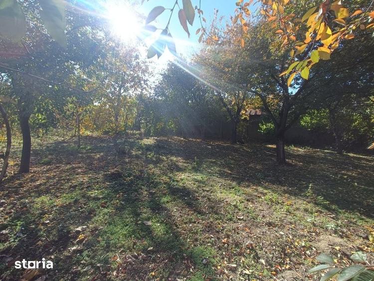 Casă cu 3 camere cu Teren 9000 Mp în Bucureștii Noi