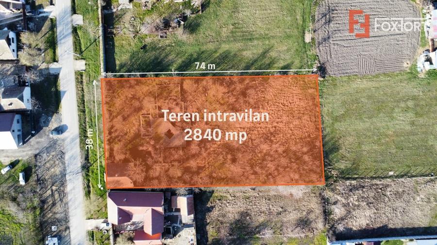 Teren intravilan 2840 mp cu fundatie - Jebel - 10