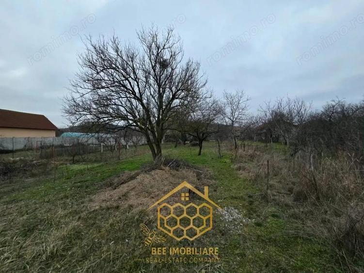 Teren 1.451 mp INTRAVILAN in Podari Toate utilitatile - 6