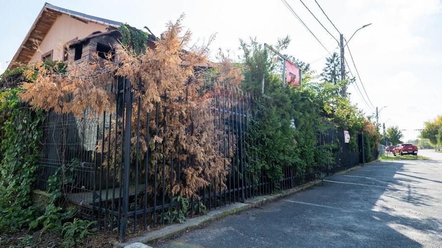 Vânzare imobil cu funcțiune mixtă casa si restaurant - Ungureni - DB - 4