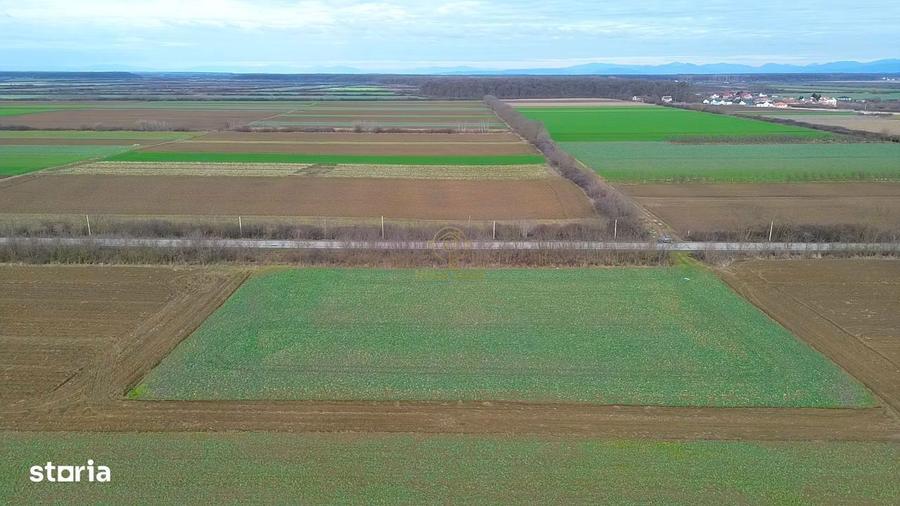 Teren 6600MP Cu Front Stradal 101 M La Intrare in Lazuri Str Botizului - 7