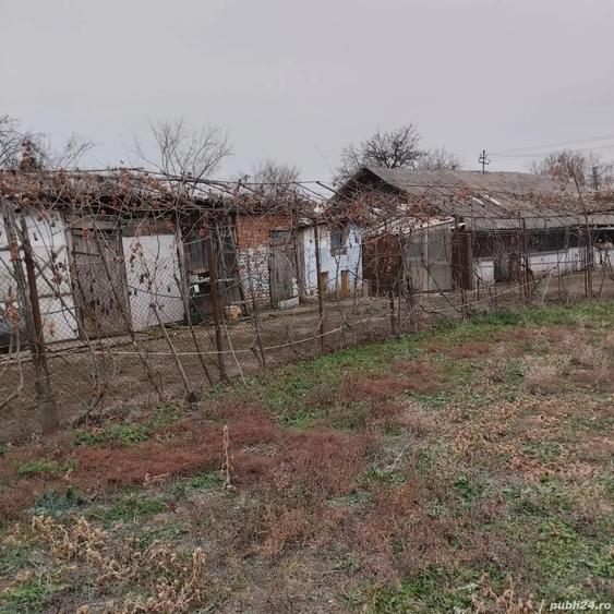 Proprietate de vanzare.Sat Draghicesti com.Sapata jud.Arges - 4